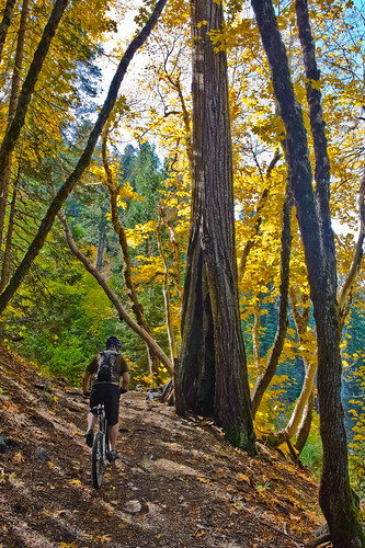 Erik Riding Into Autumn